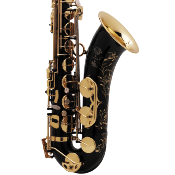 Selmer Super Action 80 série II noir gravé - Saxophone ténor professionnel avec étui et bec complet