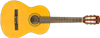 Fender ESC80 Educational Series NS WN