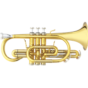 B&S 3142/2-GL Brochon - cornet Sib - verni