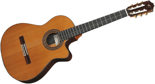 Cuenca 50-RCTW - cèdre massif - palissandre indien