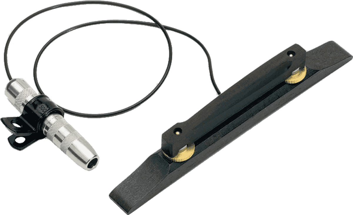 Fishman PRO-ARC-TOP - demi-caisse chevalet