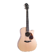 Guitare electro-acoustique furch blue dread cw sw lrb1