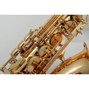 SML Paris A300 - Saxophone alto d'étude avec étui et bec complet