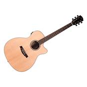 --- DISCONTINUE ---Prodipe GUITARE FOLK JM FOREST SGA 100