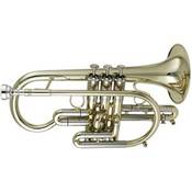 Getzen Custom 3810C - cornet en Ut - verni