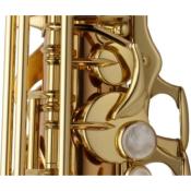Yanagisawa A-WO1 PROFESSIONAL - Saxophone Alto - Laiton verni