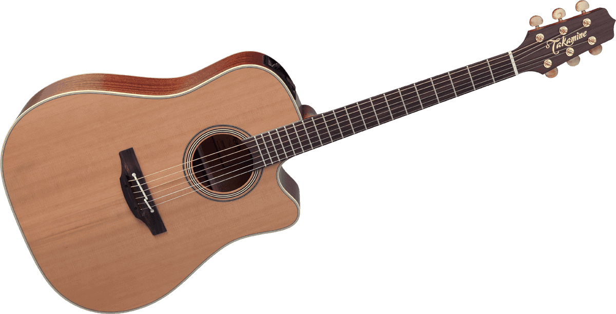 Takamine EN10C - Guitare électro-acoustique natural serie