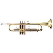 B&S PRODIGE BS210-1 - Trompette Sib, branche standard - vernie