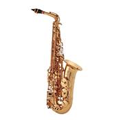 KEILWERTH ST110 - Saxophone alto intermédiaire, avec étui et bec complet - JK2103-8-0