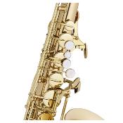 MTP START - saxophone alto petites mains