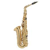 Selmer AXOS - saxophone alto avec étui et bec Selmer S80-C* complet