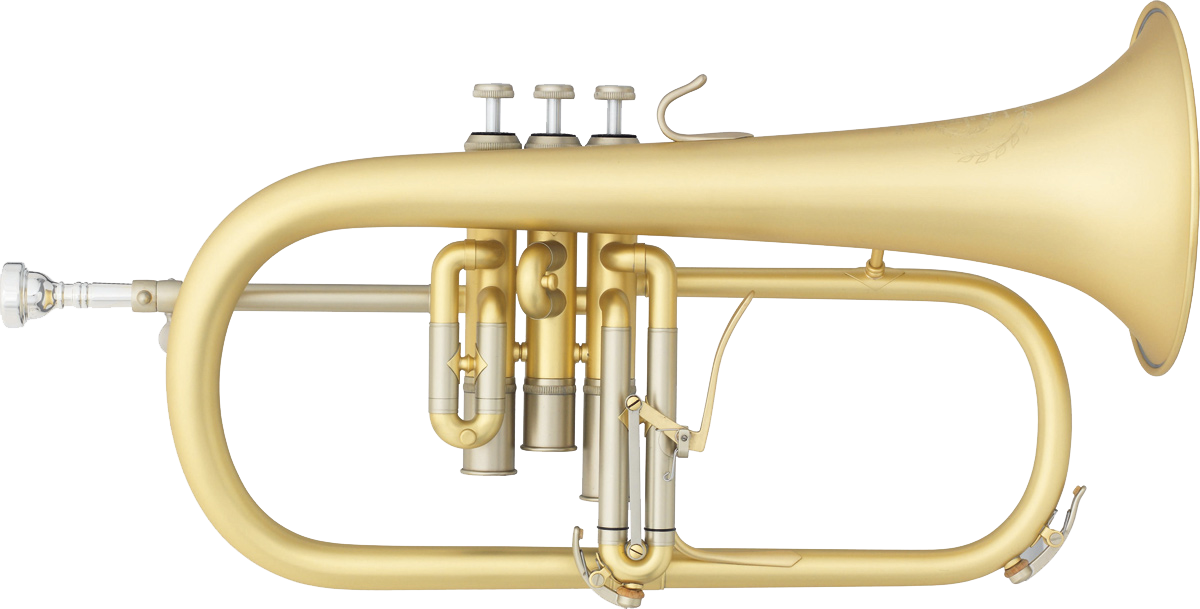 B&S ELABORATION 3148 - Bugle professionnel Jazz brossé