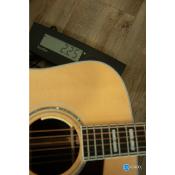 GUILD D-55E NAT avec etui