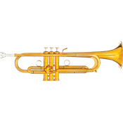 B&S PRESTIGE MBX-2 - Trompette Sib - vernie