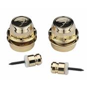 --- DISCONTINUE ---Straplock FSLG1 Gold fender
