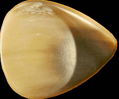 Dugain SUPERCORNE - corne