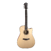 Guitare electro-acoustique furch green dread cw sm lrb1