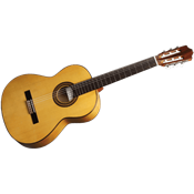 Cuenca 30-F - epicéa allemand massif - sycomore