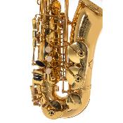 Roy Benson AS-201 - Saxophone Alto Mib pour enfant Student Series