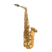 Selmer Signature verni gravé - Saxophone alto professionnel avec étui et bec complet