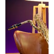 SML Paris B420 - Saxophone Baryton verni avec étui et accessoires