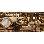 Yanagisawa S-WO2 PROFESSIONAL - saxophone soprano bronze verni avec étui et bec