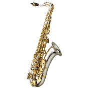 Yanagisawa T-WO37 ELITE - Saxophone Ténor - Bocal, tube, culasse et pavillon argent massif
