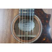 Guitare electro-acoustique Godin Metropolis Composer