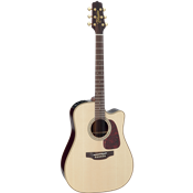 Takamine P5DC