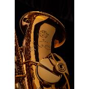 Selmer SUPREME - Saxophone alto Aurifié Gravé avec étui et accessoires