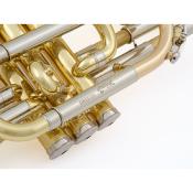 COURTOIS BELLECOUR - Cornet Sib verni