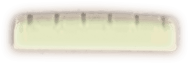 Martin NB - sillet de tete os brut