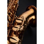 Selmer SUPREME - Saxophone tenor Brossé Gravé avec étui et accessoires