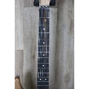 --- DISCONTINUE ---Washburn signature Nuno Bettencourt N4 Authentic