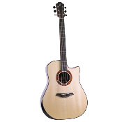 Guitare folk furch limited edition dread cw lr