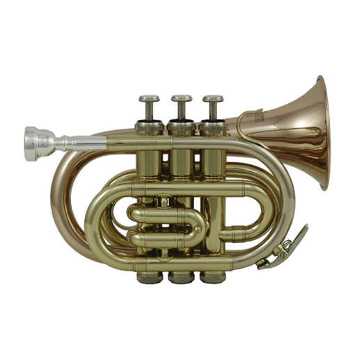 Roy Benson PT-101 - Trompette de poche Sib - vernie