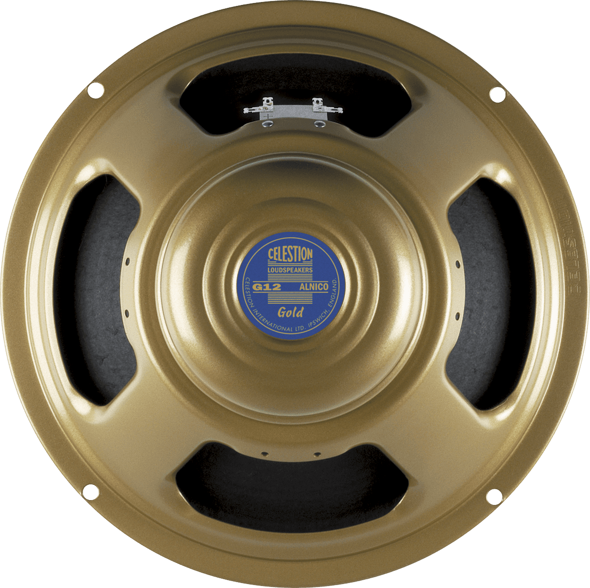 Celestion GOLD-8 - hp 31cm guit alni 50w 8 ohms