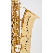 Selmer AXOS - saxophone alto avec étui et bec Selmer S80-C* complet