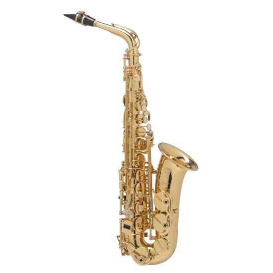 Selmer AXOS - saxophone alto avec étui et bec Selmer S80-C* complet