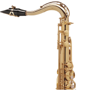 Selmer Super Action 80 série II verni gravé - Saxophone ténor professionnel avec étui et bec complet