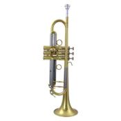 Carol Brass PPro Classic Lead 7L PCL7L - Trompette Sib avec étui