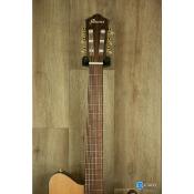 Guitare electro-classique Ibanez FRH10N NTF