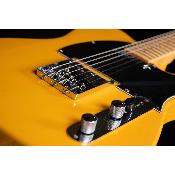 Guitare électrique Prodipe TC80MA Butterscotch