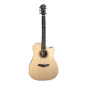 Guitare electro-acoustique furch green dread cw sr lrb1