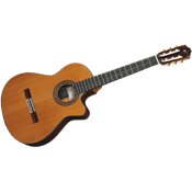 Cuenca 50-RCTW - cèdre massif - palissandre indien