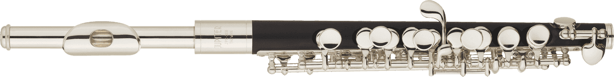 Jupiter JPC1000E - Flûte piccolo en Ut - Tête maillechort, corps ABS, Mi mécanique