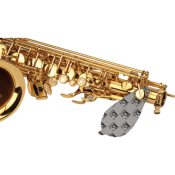 BG A65SB - sèche tampons pour saxophone - boite de 20