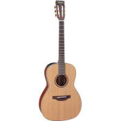 Takamine P3NY