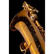 Selmer SUPREME - Saxophone alto Aurifié Gravé avec étui et accessoires