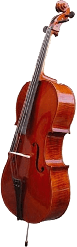 Herald AS344 - violoncelle tout massif 4/4